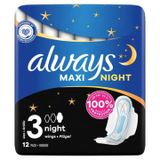 Always Night-12